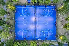 神经科学研究：多巴胺前体补充剂对减少博彩成瘾冲动的临床可行性。（神经科学视角：多巴胺前体补充剂在降低赌博成瘾冲动中的临床可行性评估）