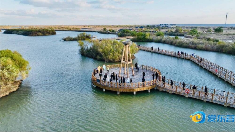 是单纯为了 是单纯为了