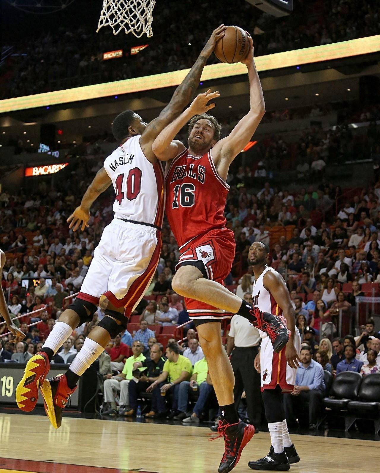 扎实的训练 扎实的训练